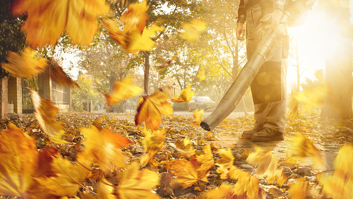 Mann mit Laubbläser entfernt Blätter vom Gehweg