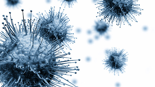 Mehrere Influenze-Viren