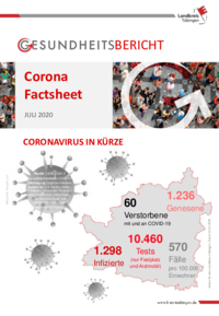 Vorschaubild: Corona Factsheet Landkreis Tübingen