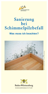 Vorschaubild: Schimmelpilze: Sanierung bei Schimmelpilzbefall - Was muss ich beachten?