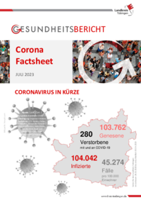 Vorschaubild: Corona Factsheet Juli 2023