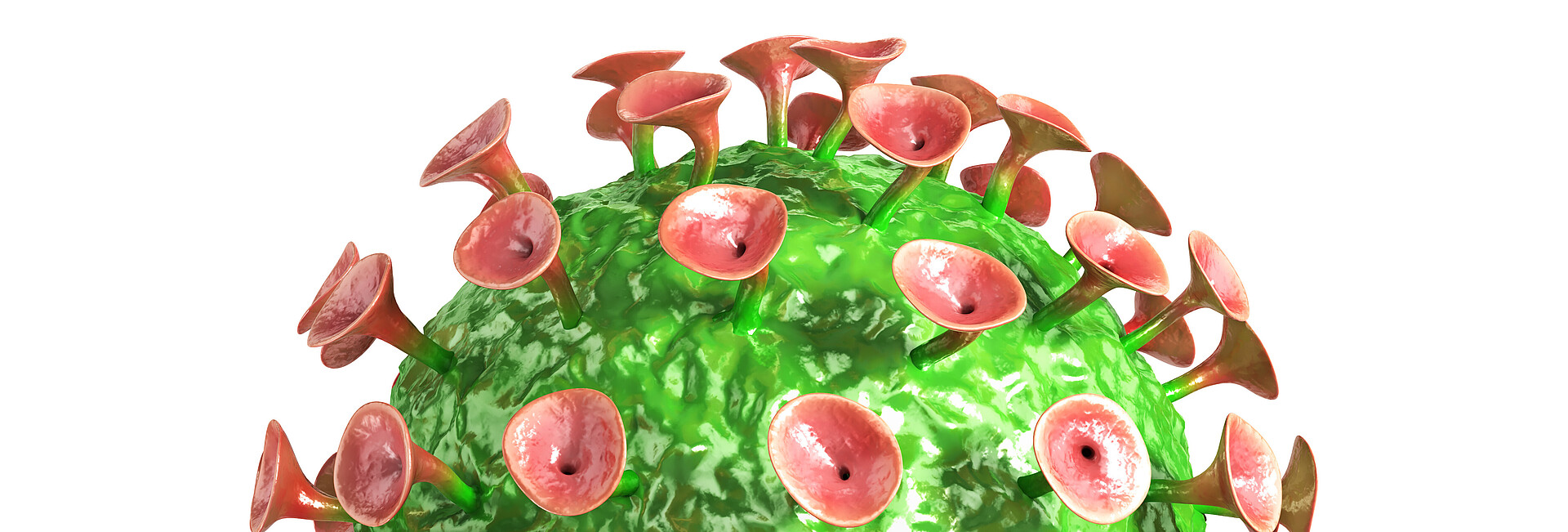 Rotavirus