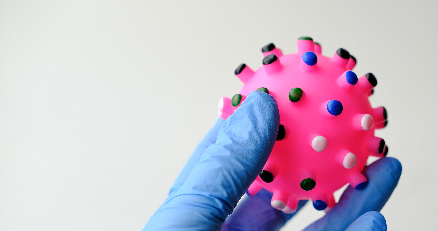 Hand in blauen Einweghandschuhen hält Coronavirus vor weißem Hintergrund