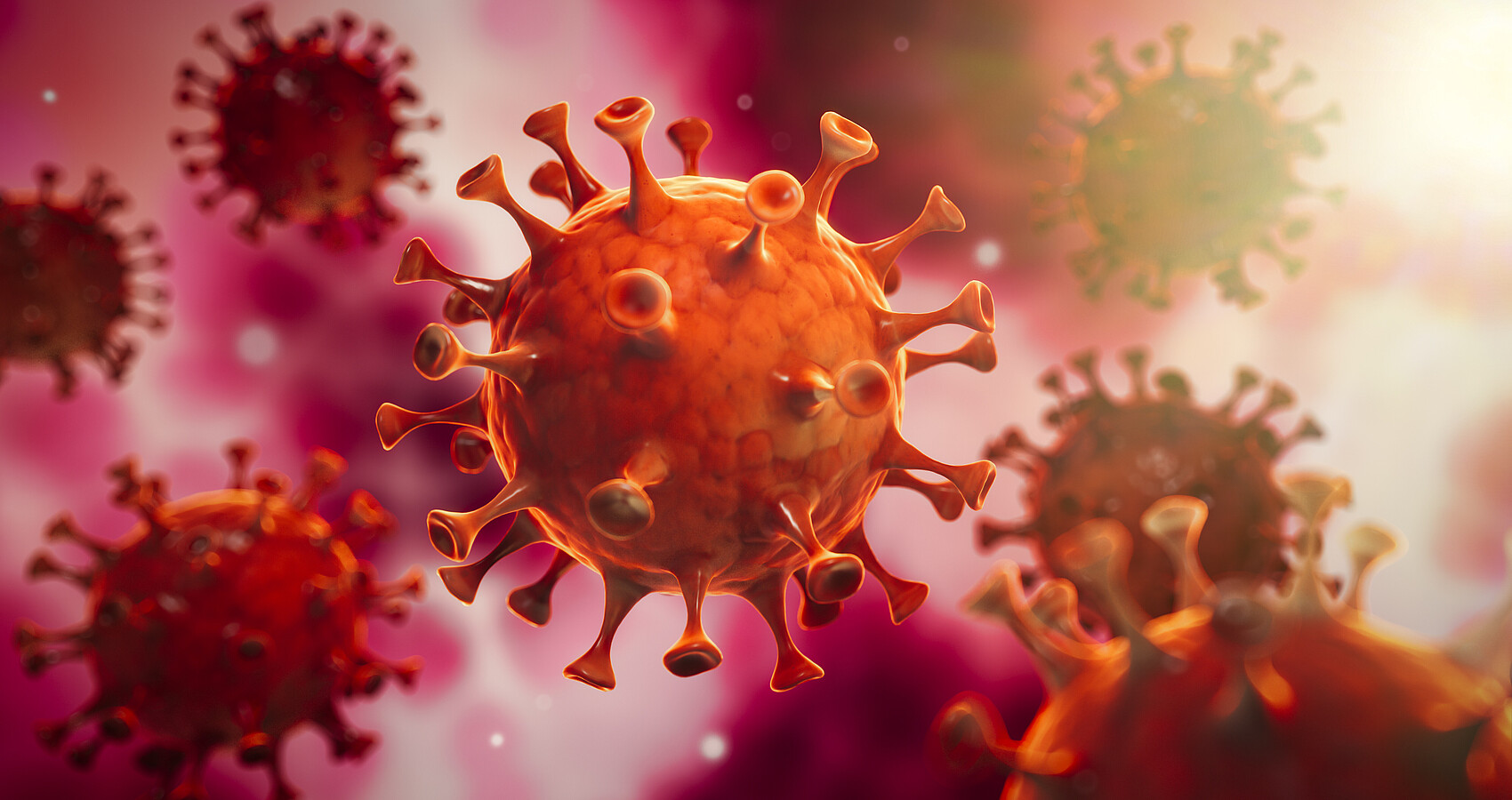 Coronavirus im Inneren des Körpers