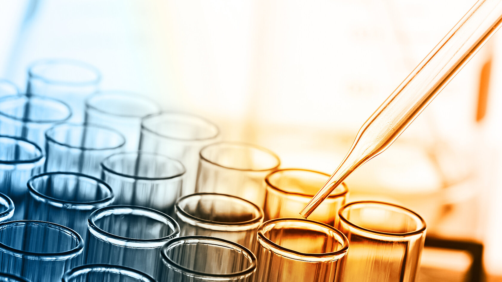 Teströhrchen in einem medizinischen Labor